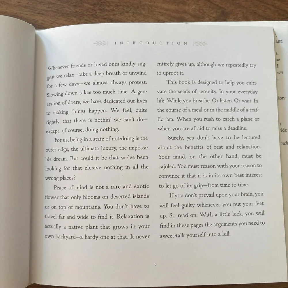 The Art of Doing Nothing Veronique Vienne Hardcover 1st Ed 1998 Meditation